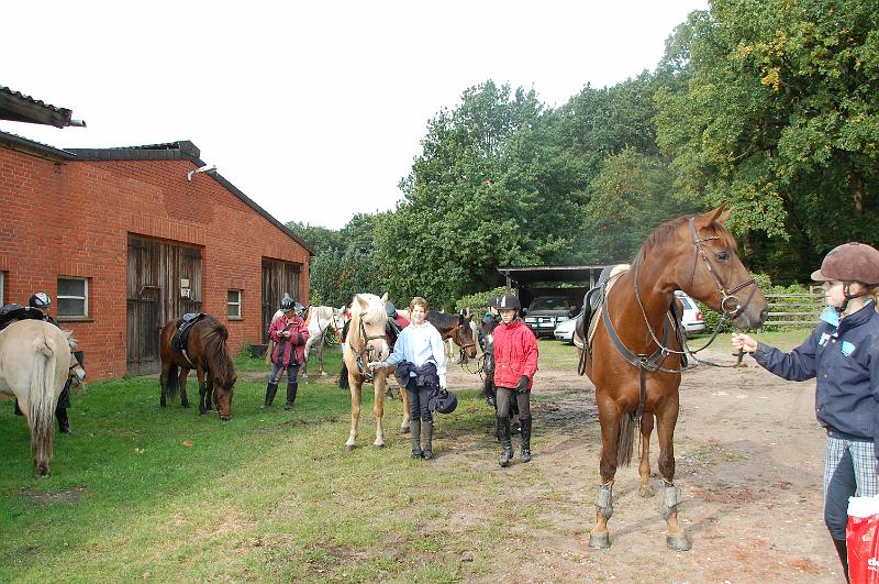 Tagesausritt Oktober 2008046.JPG